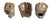 Pro Order Series (PID159249)