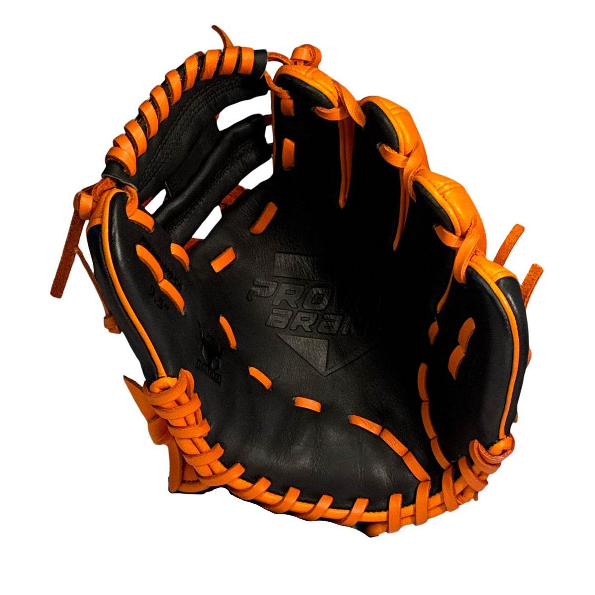 Orange/Black PBPro WashTrainer Bundle
