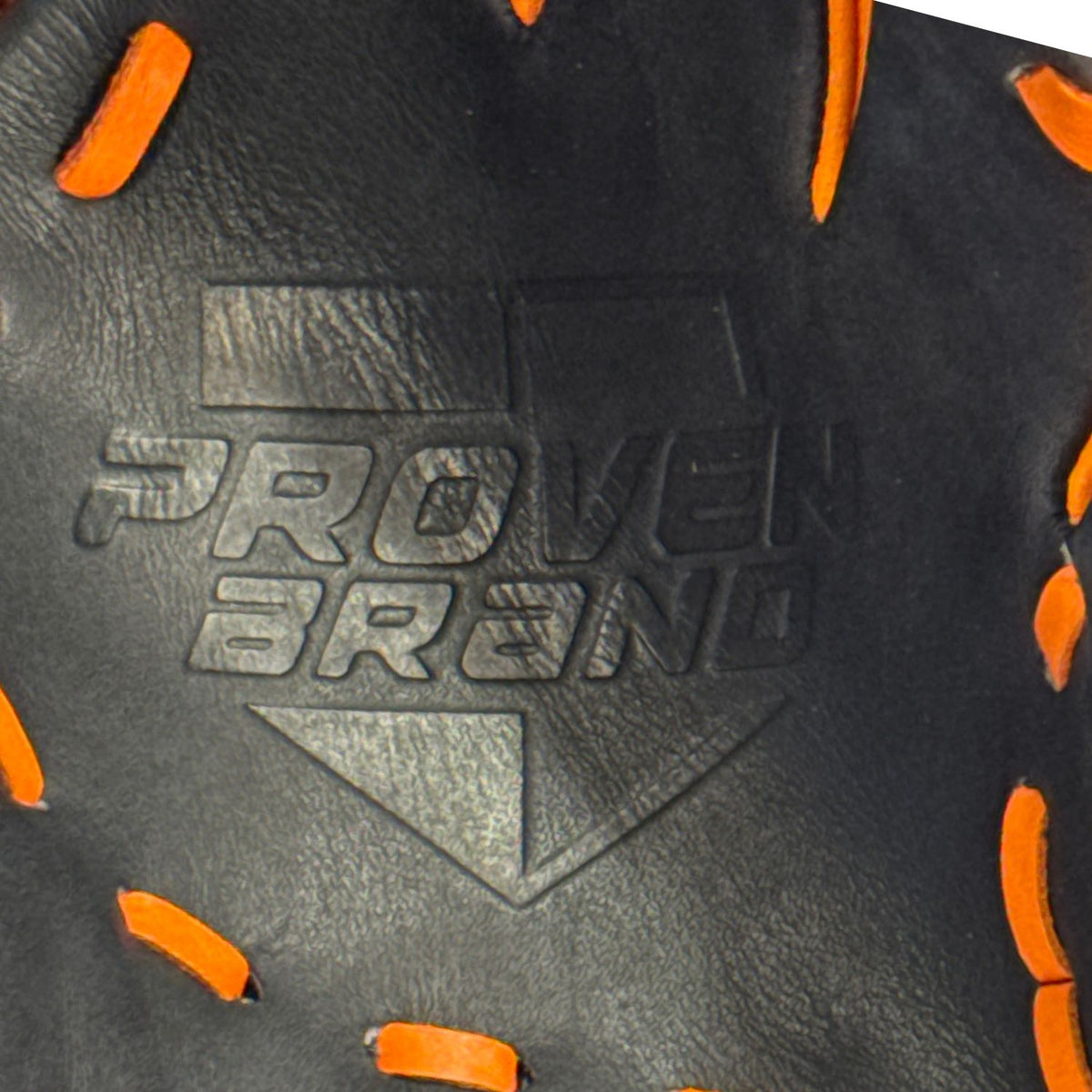 Orange/Black PBPro WashTrainer 9.5"