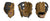 Pro Order Series (PID157519)