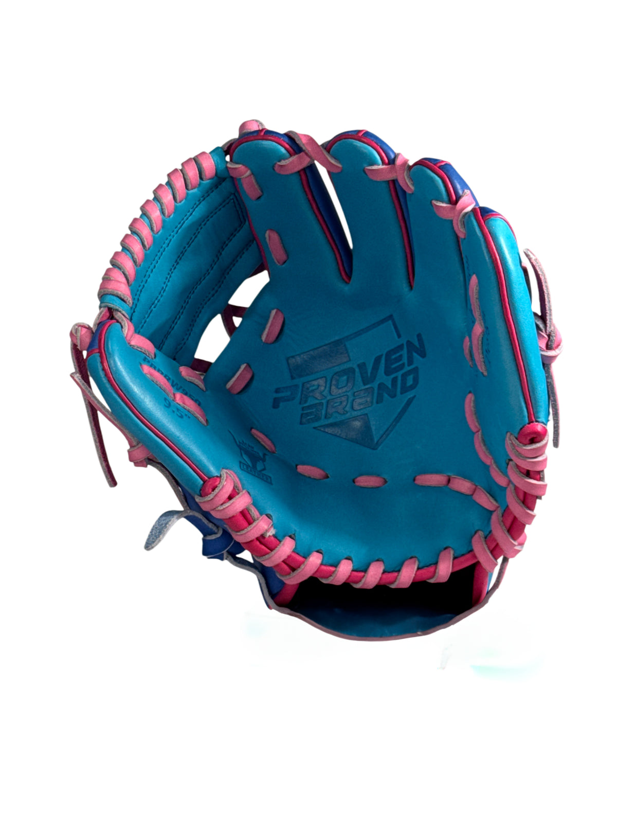 Proven Brand WashTrainer 9.5&quot; Baseball Glove – POTM6