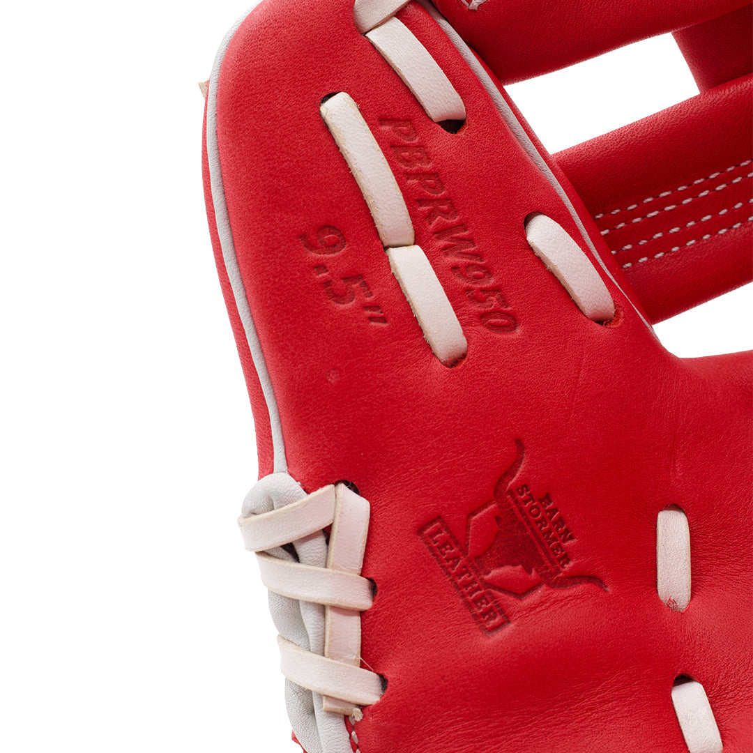 Red PBPro WashTrainer 9.5&quot;