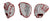Pro Grade Series (PID66494)