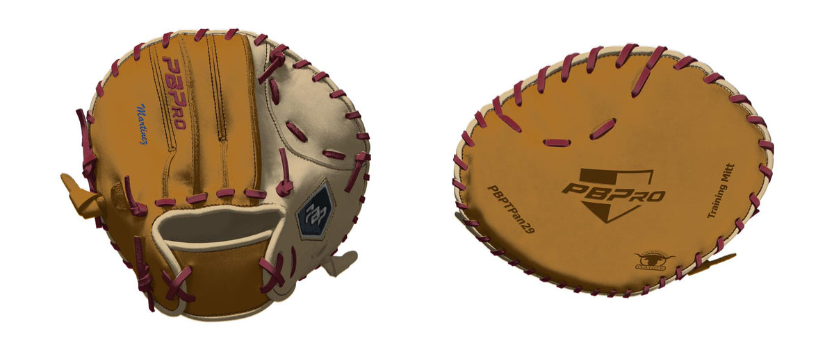 Training Mitt