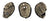 Pro Order Series (PID139815)