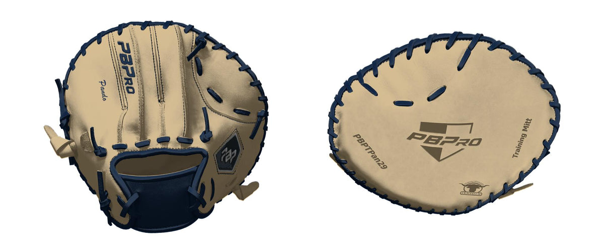 Training Mitt