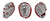 Phantom Series (PID93303)