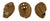 Phantom Series (PID135974)