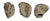 Pro Grade Series (PID60536)