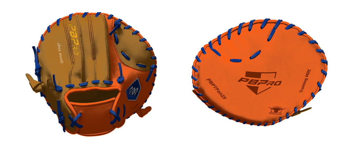 Training Mitt