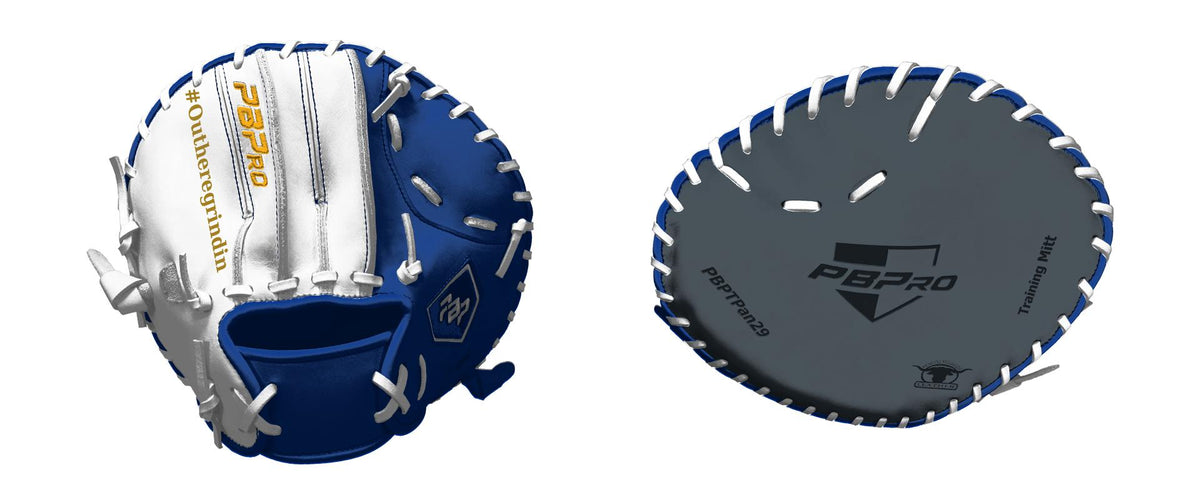 Training Mitt